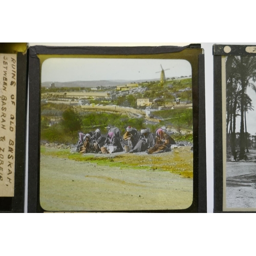 111 - Magic lantern slides, topographical, Jerusalem and Palestine, botanical studies, New York City by Un... 