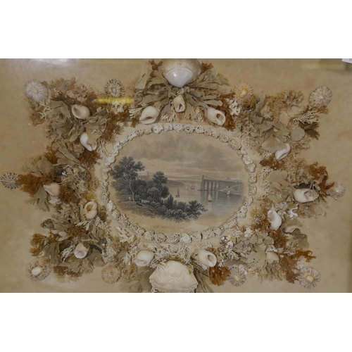 122 - A shell picture with C19th steel engraving of the Menai Straits, in a picture box gilt frame, 51 x 4... 