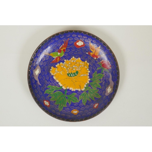 138 - A Chinese cloisonne dish decorated with birds and flowers, marked with bats and an auspicious symbol... 