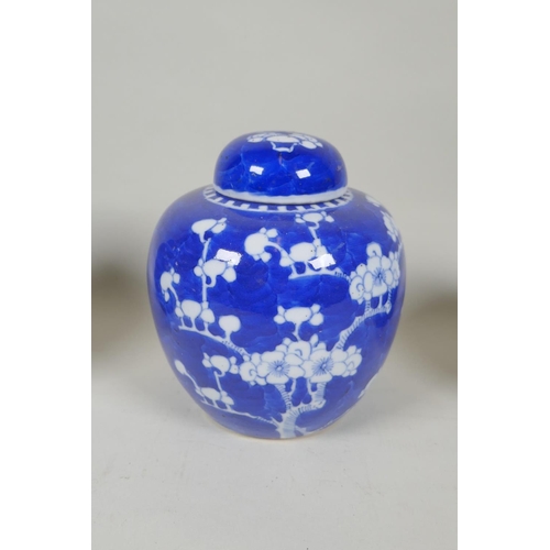 222 - Seven Chinese C19th and C20th blue and white porcelain ginger jars and covers with cracked ice and p... 