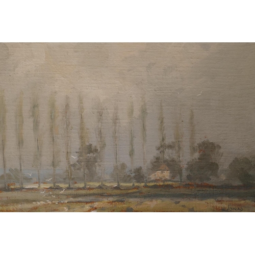 879 - Rural landscape with avenue of poplars, signed Jonas, oil on canvas laid on board, 35 x 30cm