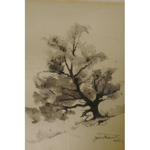 888 - Jaro Hilbert, (Slovenian/French), study of an oak tree, ink and wash, signed and dated 1973, 16 x 21... 