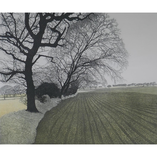 903 - Phil Greenwood, (Welsh, b.1943), Furrows, limited edition etching/aquatint, 10/250, pencil signed an... 