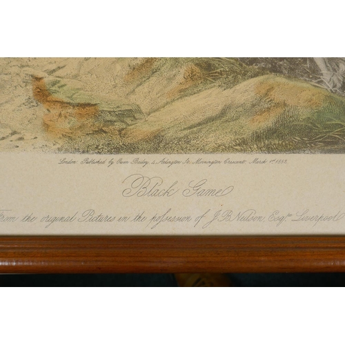 914 - After Richard Ansdell, (British, 1815-1885), Rabbit and Black Game, two hand coloured engravings by ... 