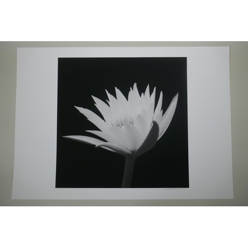 944 - After Hiroyuki Arakawa (Japanese, b.1951), Submerged with Life #2, photographic print from his flowe... 