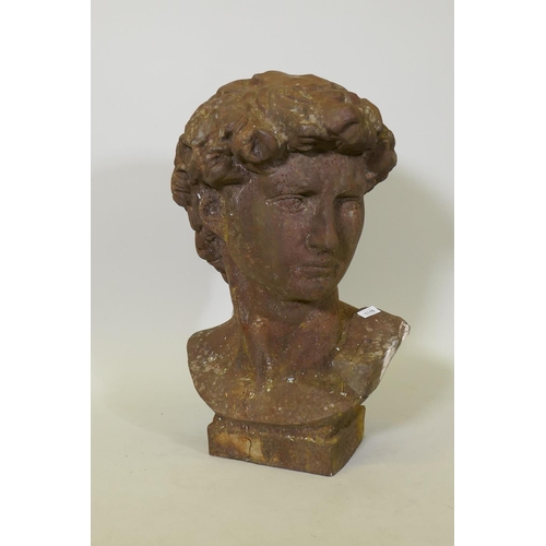 1116 - A large cast iron bust of David, after  Michelangelo, 68cm high