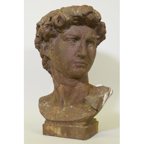 1116 - A large cast iron bust of David, after  Michelangelo, 68cm high