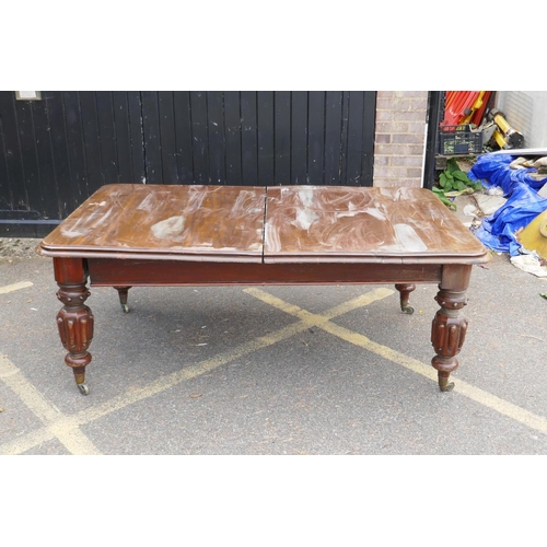 1233 - Victorian mahogany draw leaf dining table raised on carved bulbous supports with brass castors, with... 