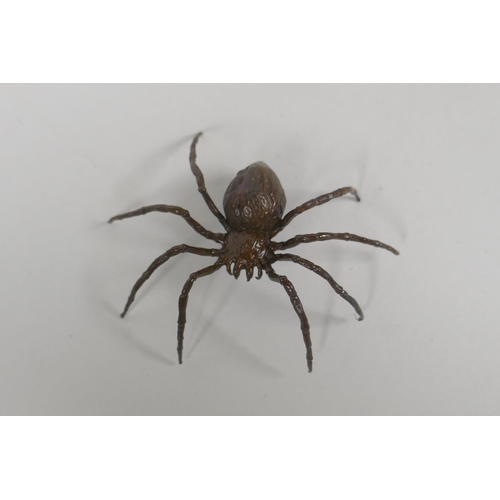 191 - A Japanese style bronze okimono spider, 7cm diameter