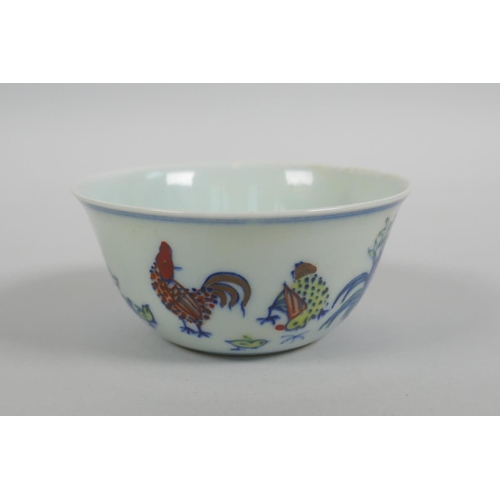 43 - A Chinese doucai porcelain tea bowl with chicken decoration, Chenghua 6 character mark to base, 8cm ... 