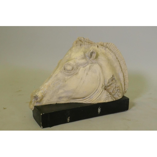 5 - A plaster cast of the horse's head of the Chariot of Selene from the Parthenon frieze, mounted on a ... 