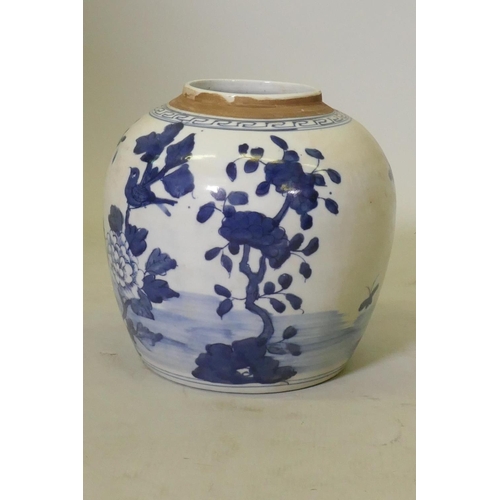 69 - Chinese blue and white ceramic jar, decorated with birds, butterflies and floral designs, 22cm high