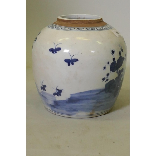 69 - Chinese blue and white ceramic jar, decorated with birds, butterflies and floral designs, 22cm high