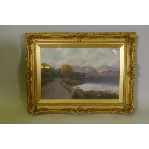 804 - H.P. Hall, landscape with road by a lake, signed, inscribed verso Constance? Lake from Nth Summerton... 