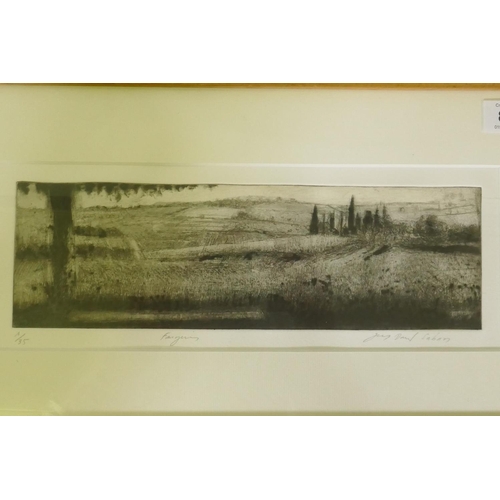 827 - Jean Paul Saban?, Faugeres, 1/35 etching of a French landscape with vineyards, signed and inscribed ... 