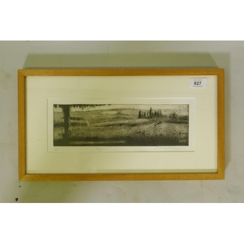 827 - Jean Paul Saban?, Faugeres, 1/35 etching of a French landscape with vineyards, signed and inscribed ... 