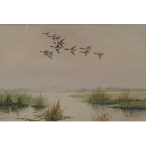 830 - Roland Green, (British, 1890-1972), ducks in flight, watercolour, 45 x 30cm