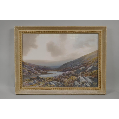 832 - Dartmoor landscape, inscribed verso Taw Marsh, Dartmoor, Frederic J. Widgery, watercolour, 52 x 37cm