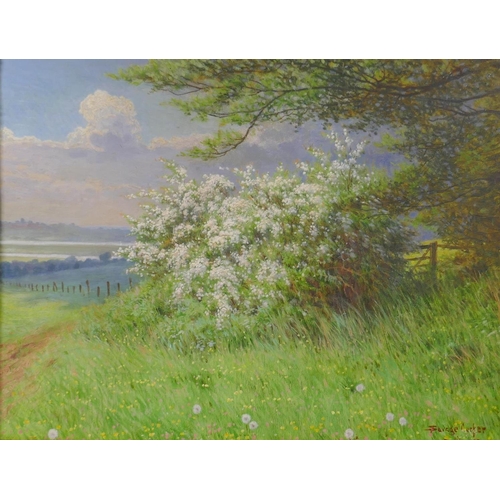 840 - Savage Cooper, landscape with blossoming trees, signed and dated 1905, oil on millboard, 35 x 45cm