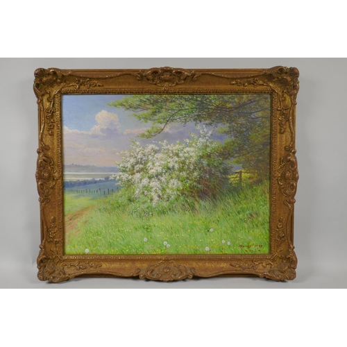 840 - Savage Cooper, landscape with blossoming trees, signed and dated 1905, oil on millboard, 35 x 45cm