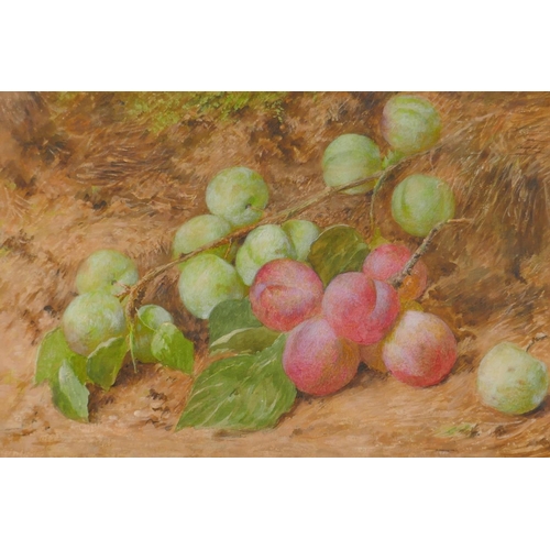 865 - Frederick Charles Underhill, study of plums on a mossy bank, signed, watercolour and body colour, 24... 