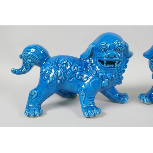 98 - A pair of Chinese turquoise glazed porcelain fo dogs, 25cm long