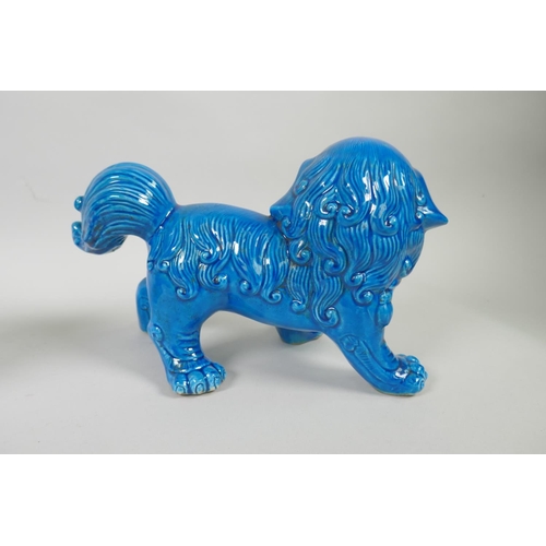 98 - A pair of Chinese turquoise glazed porcelain fo dogs, 25cm long