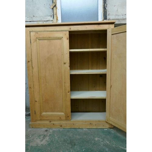 1039 - Victorian stripped pine two door cupboard, raised on a plinth base, 100 x 34 x 117cm