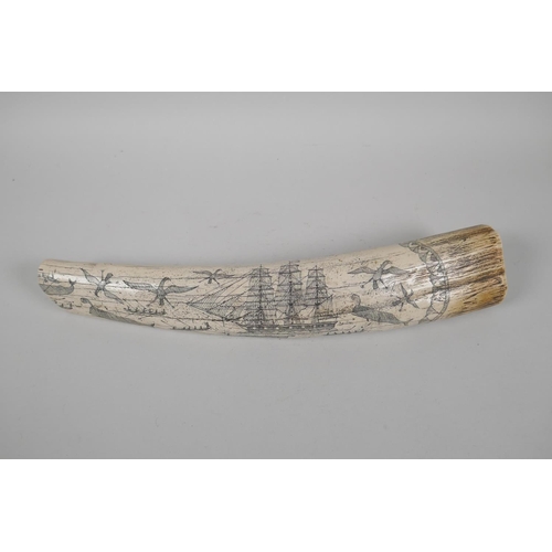 104 - A composition carved and moulded scrimshaw depicting the whaler The Charles W. Morgan, sailing out o... 