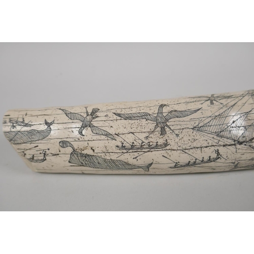 104 - A composition carved and moulded scrimshaw depicting the whaler The Charles W. Morgan, sailing out o... 