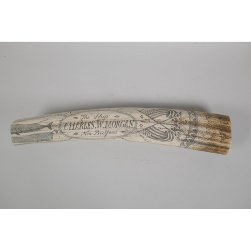 104 - A composition carved and moulded scrimshaw depicting the whaler The Charles W. Morgan, sailing out o... 