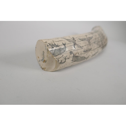 104 - A composition carved and moulded scrimshaw depicting the whaler The Charles W. Morgan, sailing out o... 