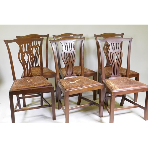 1067 - A set of six antique mahogany Chippendale style dining chairs with pierced splats and drop in leathe... 