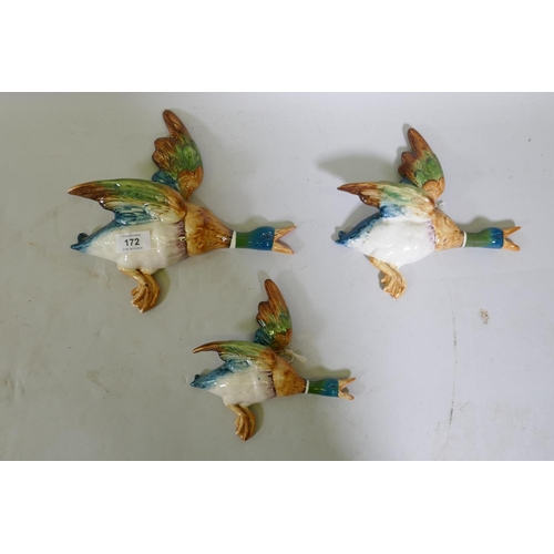 172 - Three Beswick flying mallard ducks, No. 5961, 5962, 5963, 62 and 63 repaired, 61 21cm long