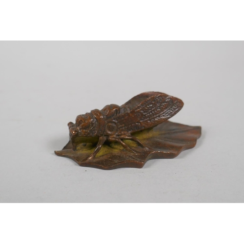 212 - A Japanese style bronze okimono of a cicada on a leaf, 9cm