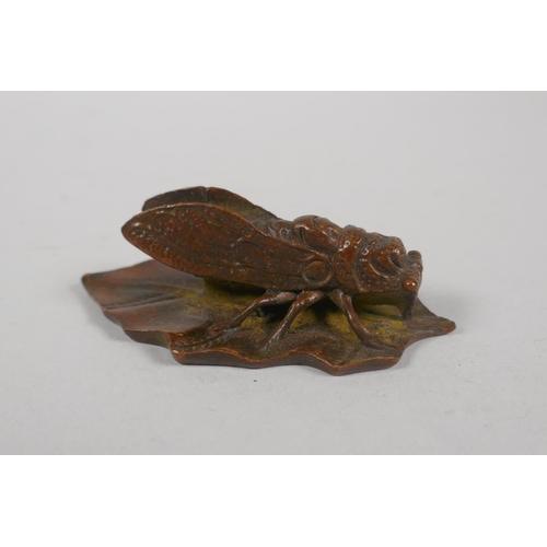 212 - A Japanese style bronze okimono of a cicada on a leaf, 9cm