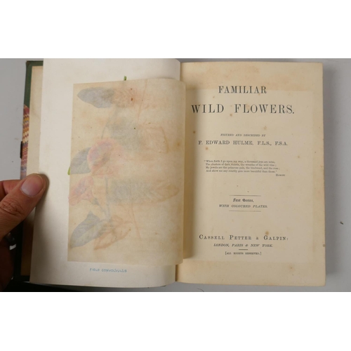 222 - Familiar Wild Flowers, written and illustrated by Frederick Edward Hulme, first series with coloured... 