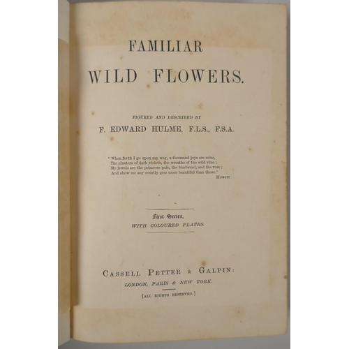 222 - Familiar Wild Flowers, written and illustrated by Frederick Edward Hulme, first series with coloured... 