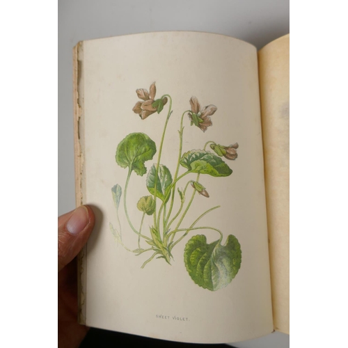 222 - Familiar Wild Flowers, written and illustrated by Frederick Edward Hulme, first series with coloured... 