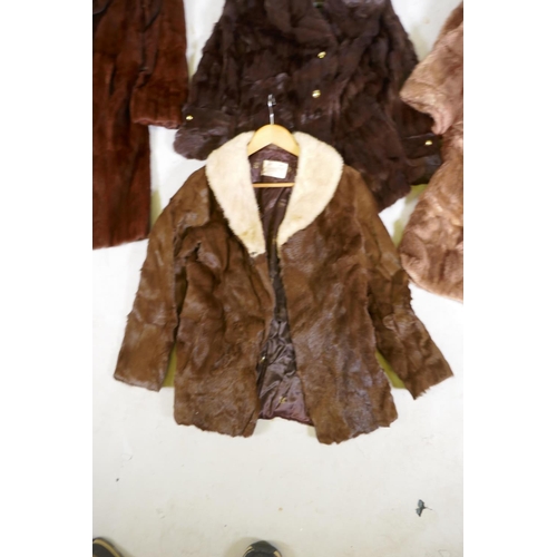 247 - Four lady's vintage fur coats, longest 105cm