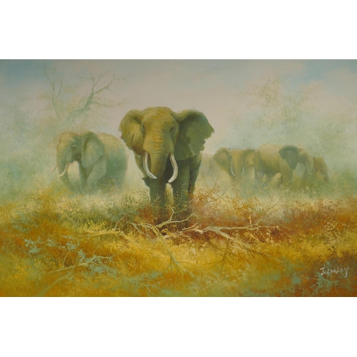 811 - J. Carley, Pride of Elephants, oil on canvas, 92 x 61cm