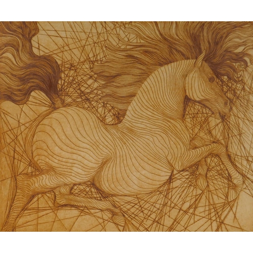 852 - Guillaume Azoulay, (Moroccan, b.1949), Pegase, sepia tone etching, titled in pencil, 36 x 30