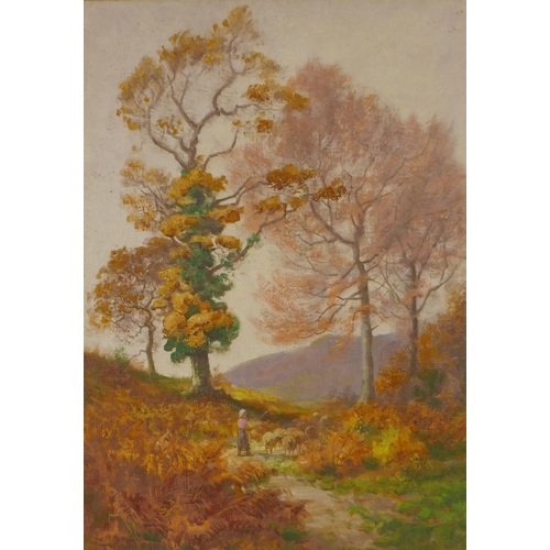 858 - Tom Seymour, (British, 1844-1904), ivy clad oak and beech, oil on canvas laid on board, 25 x 35cm