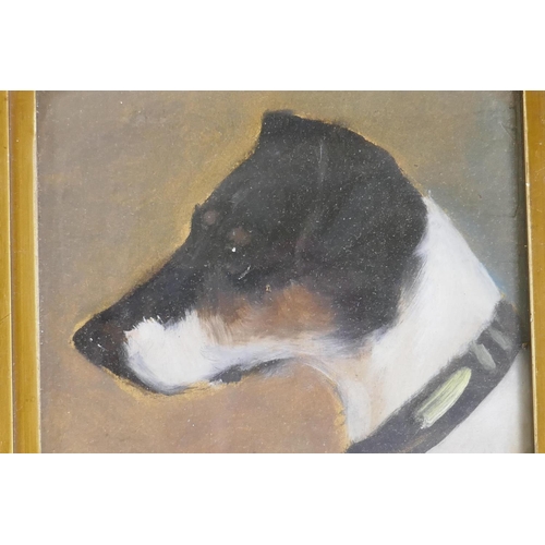 899 - Study of a terrier's head, unsigned, late C19th/early C20th, a pair of oils on millboard, 18 x 16cm