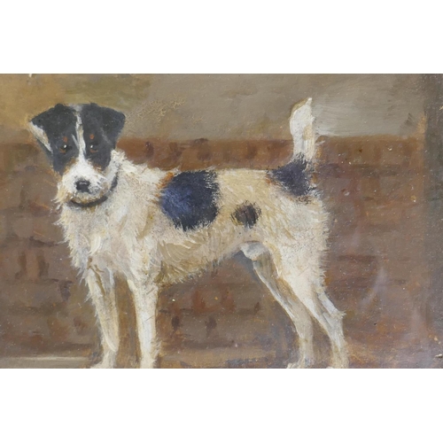 900 - Study of a terrier by a wall, unsigned, late C19th/early C20th, oil on millboard, 18 x 12cm