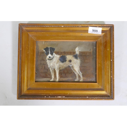 900 - Study of a terrier by a wall, unsigned, late C19th/early C20th, oil on millboard, 18 x 12cm