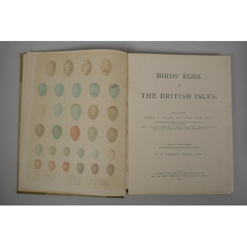 109 - A collection of vintage books to include Birds Eggs of the British Isles by Arthur G. Butler with il... 