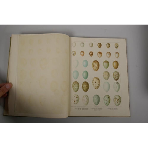 109 - A collection of vintage books to include Birds Eggs of the British Isles by Arthur G. Butler with il... 