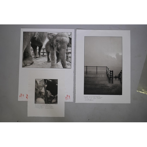 125 - Three Nick Ross hand developed photographs with annotations, circa 2010, largest 40 x 60cm