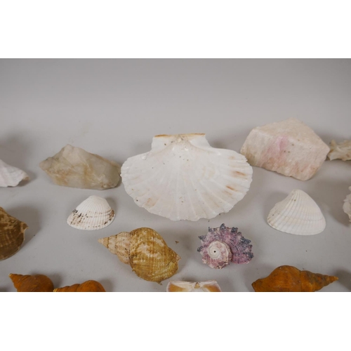 130 - Natural History, a quantity of sea shore and geological finds